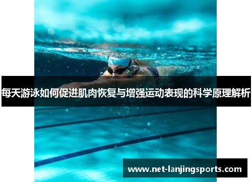每天游泳如何促进肌肉恢复与增强运动表现的科学原理解析