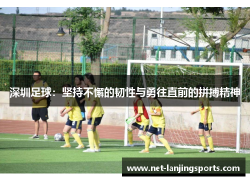 深圳足球：坚持不懈的韧性与勇往直前的拼搏精神