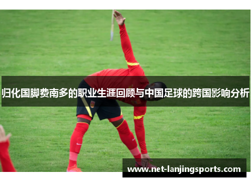 归化国脚费南多的职业生涯回顾与中国足球的跨国影响分析