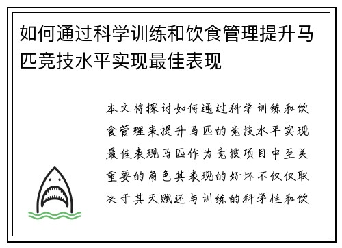 如何通过科学训练和饮食管理提升马匹竞技水平实现最佳表现